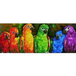 DIAMOND DOTZ  PERROQUETS ARC-EN-CIEL- DIAMOND PAINTING - PEINTURE À DIAMOND